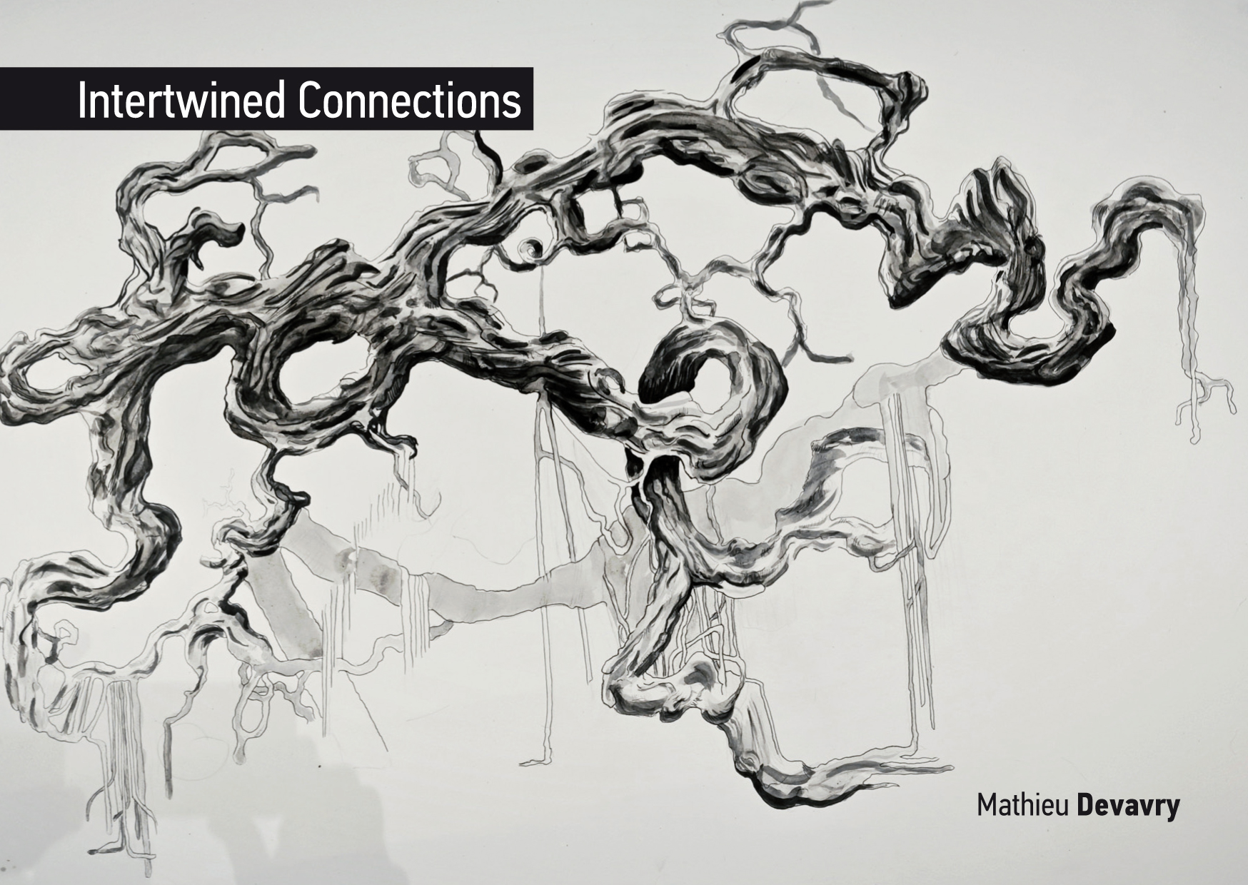 Artwork by Mathieu Devavry